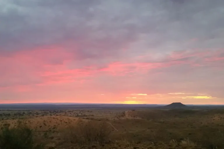 Landscape