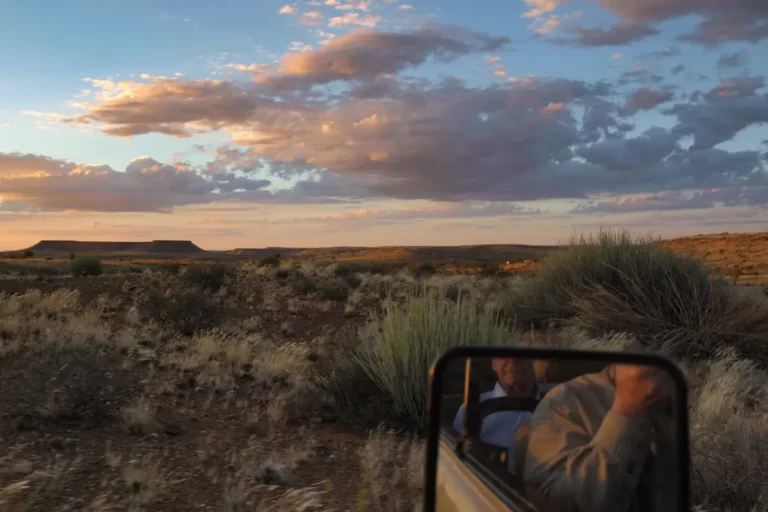 Sundowner drive