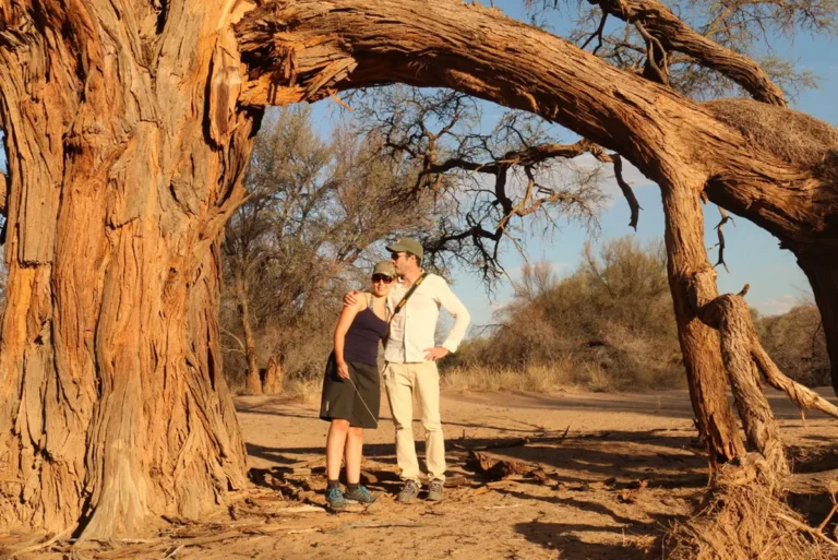 Walking amongst ancient acacias